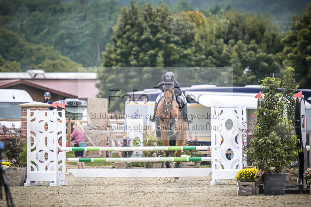 DOS_0122 | Entdecke hochwertige Reitturnierfotos von Foto Oger. Professionell, emotional und authentisch – jetzt Lieblingsmomente im Shop bestellen. - Realisiert mit Pictrs.com