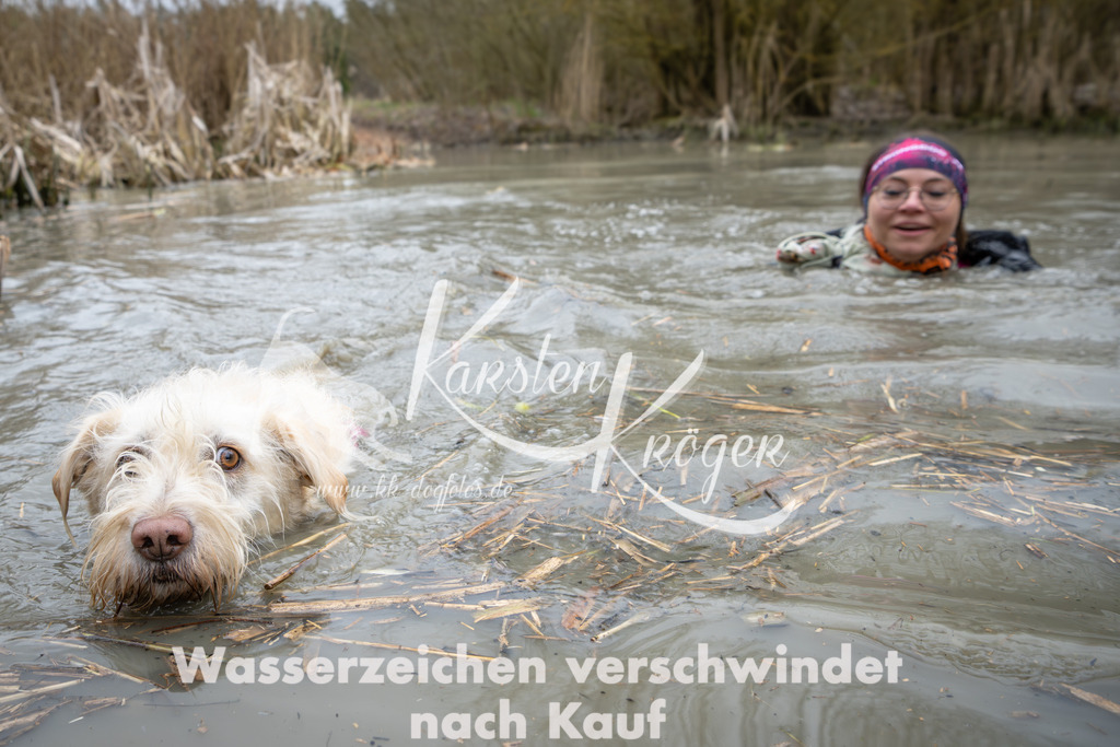 1412_ZZ97392 | kk-dogfotos