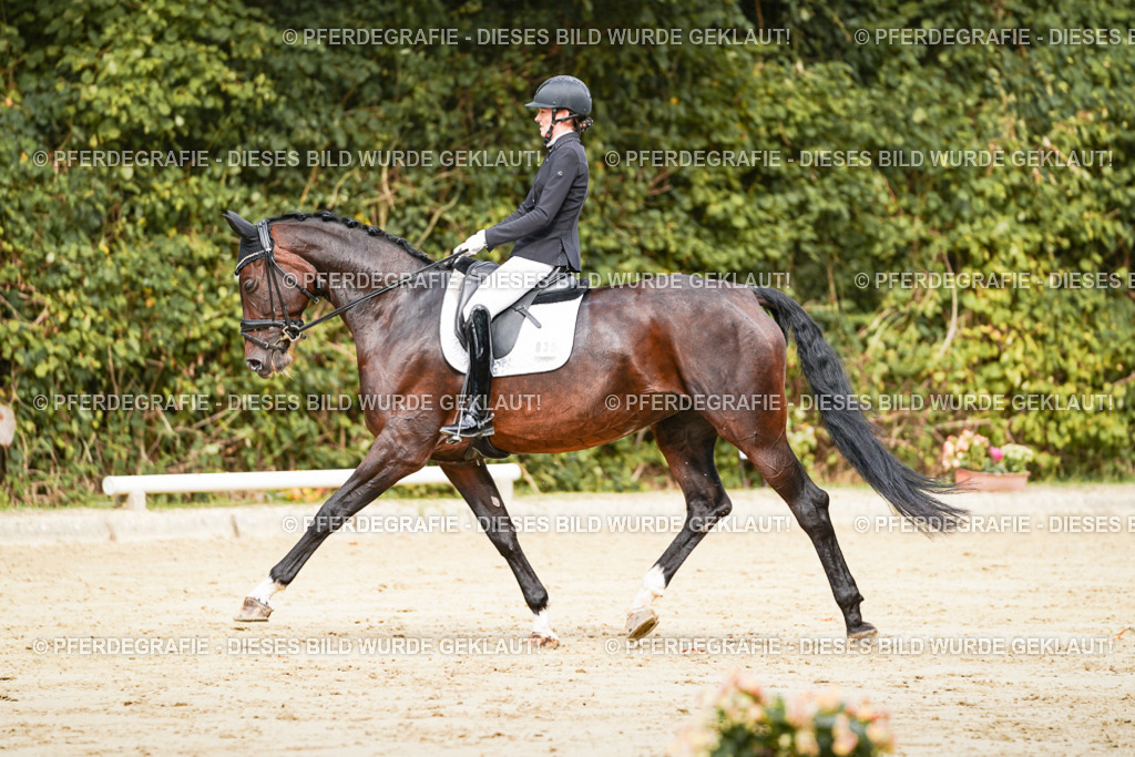 DSC01979 | Pferdegrafie