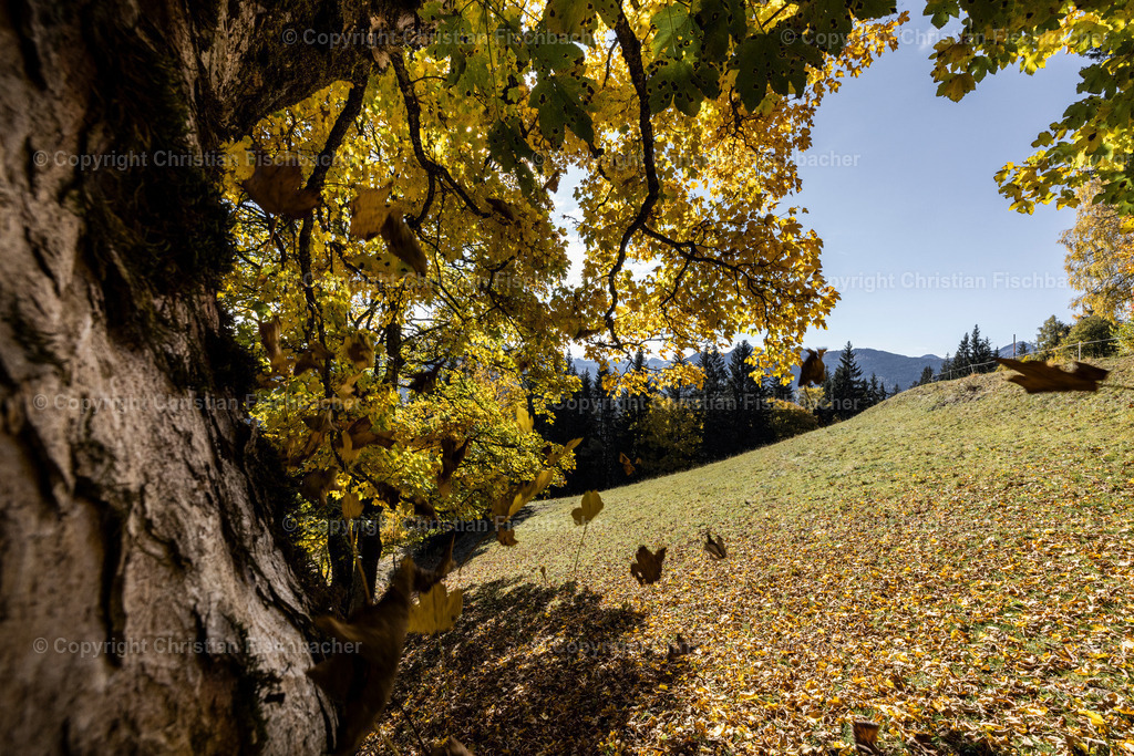 Fotos_Copyright_Chri_Fischbacher_Druck-492 | Bildershop Chri Fischbacher - Realisiert mit Pictrs.com