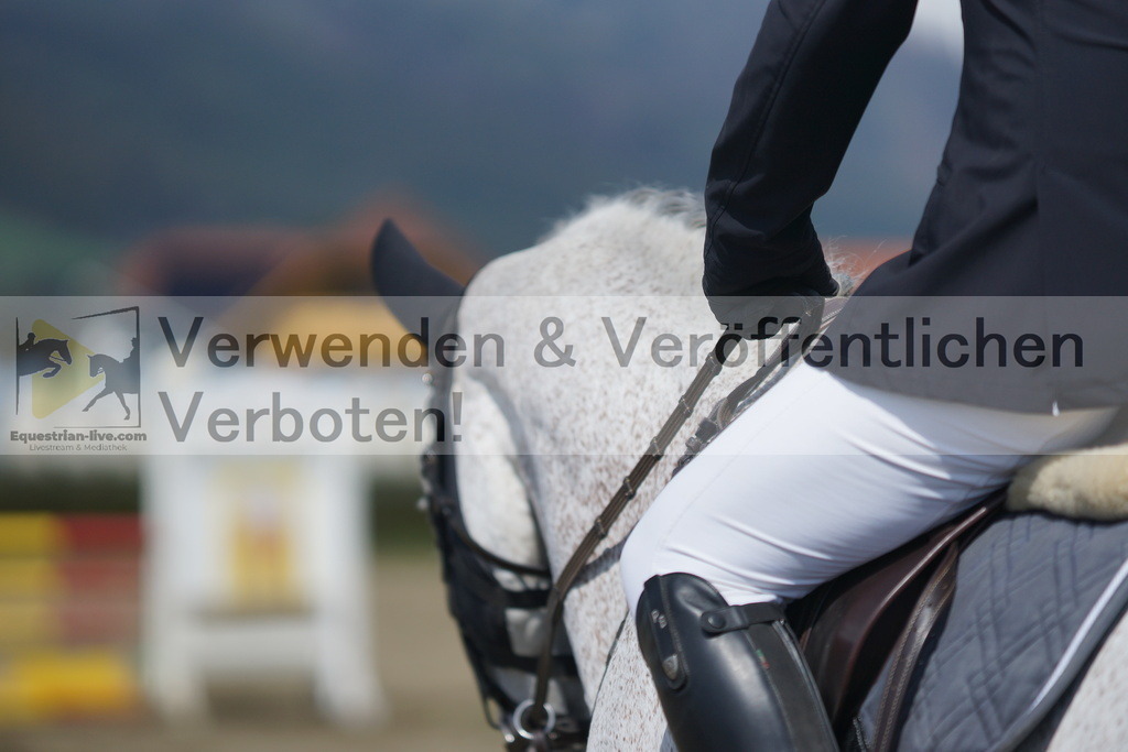 DSC02493 | equestrian-live-com
