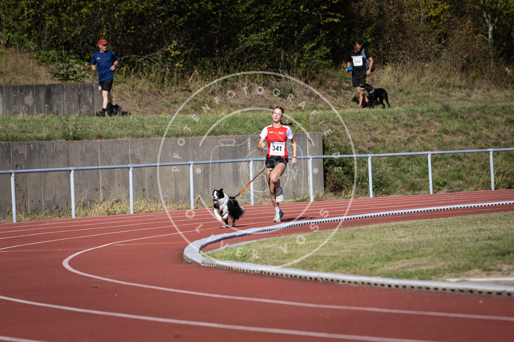 Pfotenfotografie_DV3A8183 | Hundefotografie, Tierfotograf, Pfotenfotografie, Fotoshooting Hund, Hunde Portrait, Hundesport, Hundeportraits, Heideshooting, Hunde, Sportfotograf, Hundefotograf, Turnierhundsport, THS,  - Realisiert mit Pictrs.com