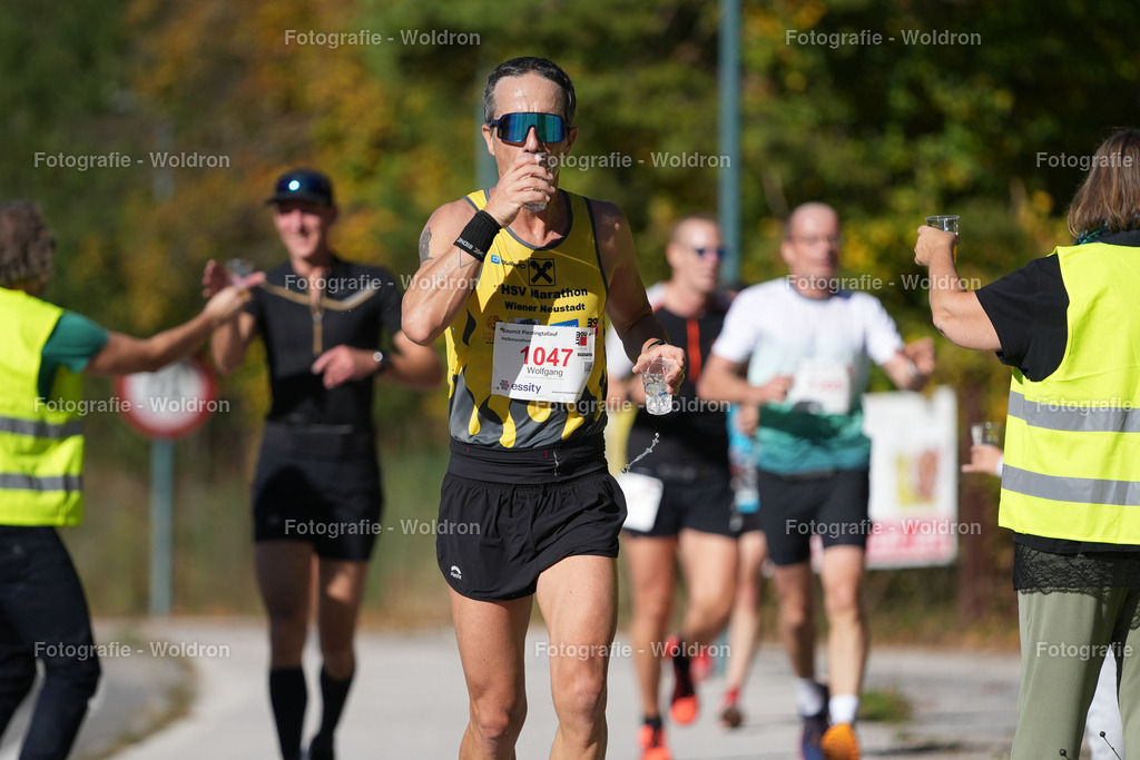 20221016 Piestingtal Lauf 2022 HM-85 | Fotografie Woldron