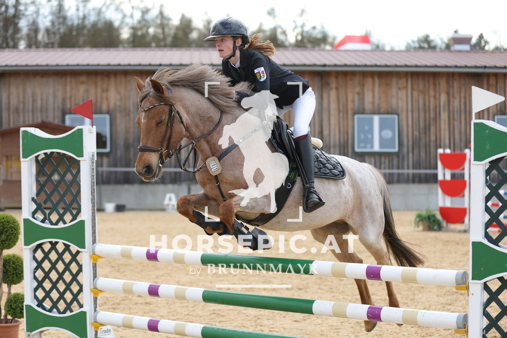 0P6A8559 | Willkommen bei Brunnmayr - Design & Fotografie – Ihrem Spezialisten für Reitturniere und Pferdeveranstaltungen in Oberösterreich, Salzburg und Bayern! Seit über 17 Jahren sind wir leidenschaftlich dabei.
