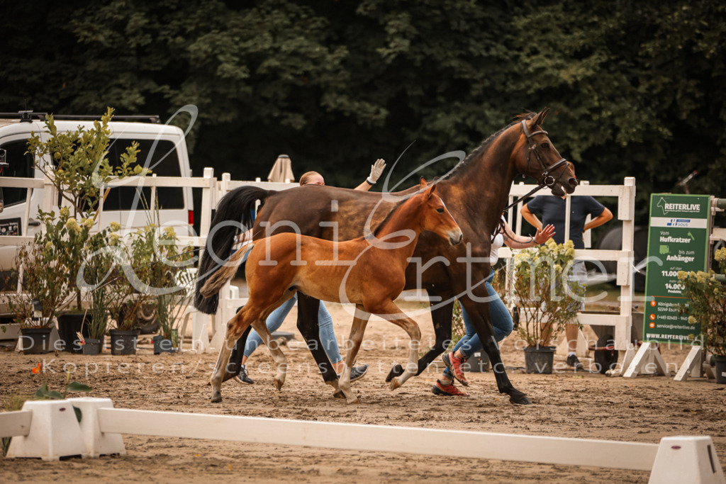 SaPA00230 | Leoni Ertmer Photography - Realisiert mit Pictrs.com