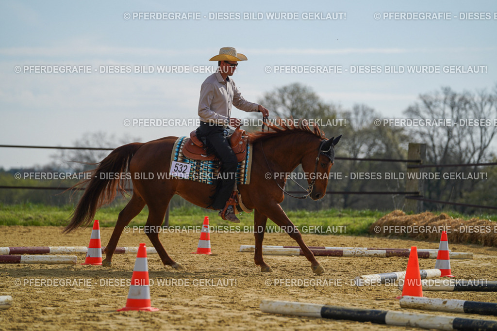 DSC01523 | Pferdegrafie