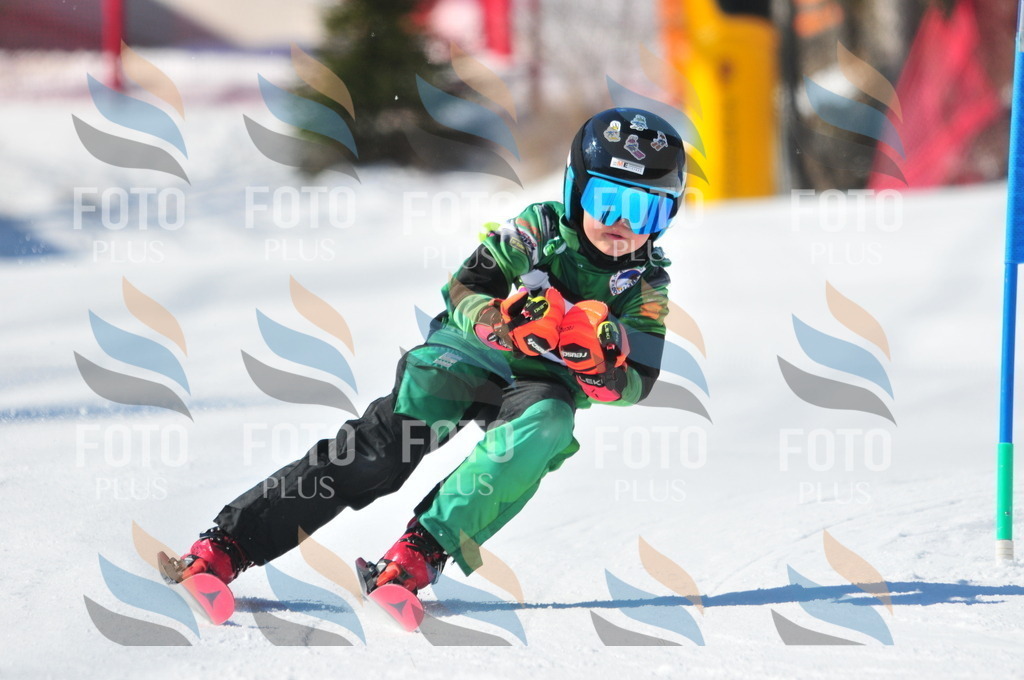 C2302 | holidayphoto