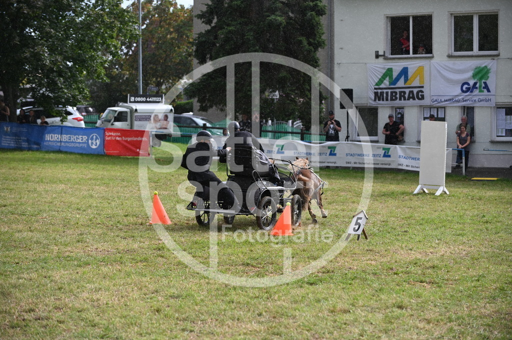 DSC_8864 | sattelsport - Realisiert mit Pictrs.com