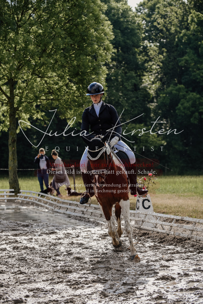 DSC_8730 | Pferde- und Turnierfotografie in Westsachsen. Pferdeportraits, Auftragszeichnungen und intuitive Kunst.