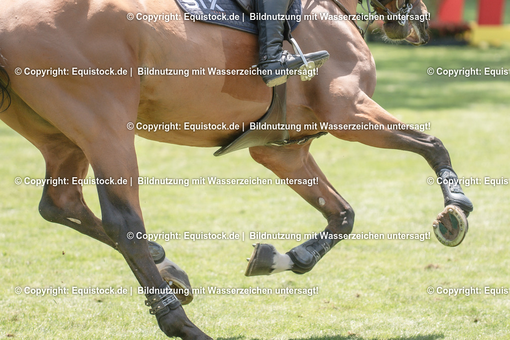 20230527_12_CSI4_Pfungstädter_0075 | equistock