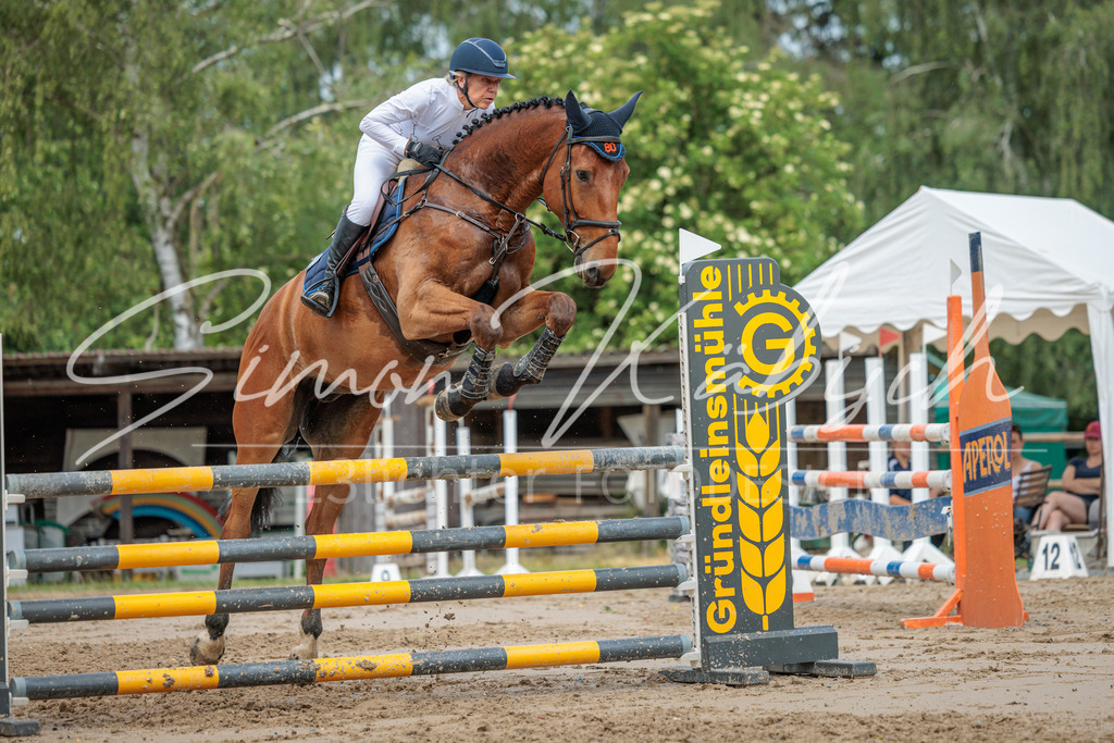 20260530-_3LI2940 | Tierfotografie Pferde, Hunde, Katzen, Haustiere.
Turnierfotografie Reitturniere, Reiten, Springreiten, Dressur in Hanau, dem Main-Kinzig-Kreis und dem Rhein-Main- Gebiet um Frankfurt