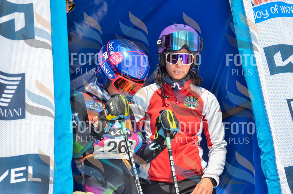 _ELE7743 | holidayphoto