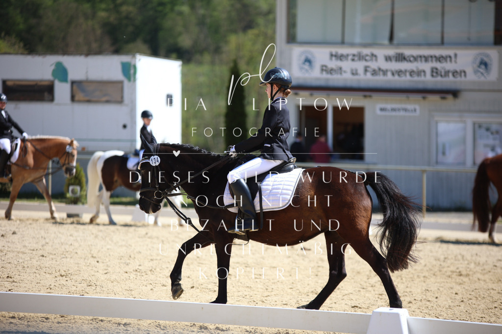 IMGT1233 | pl-fotografie