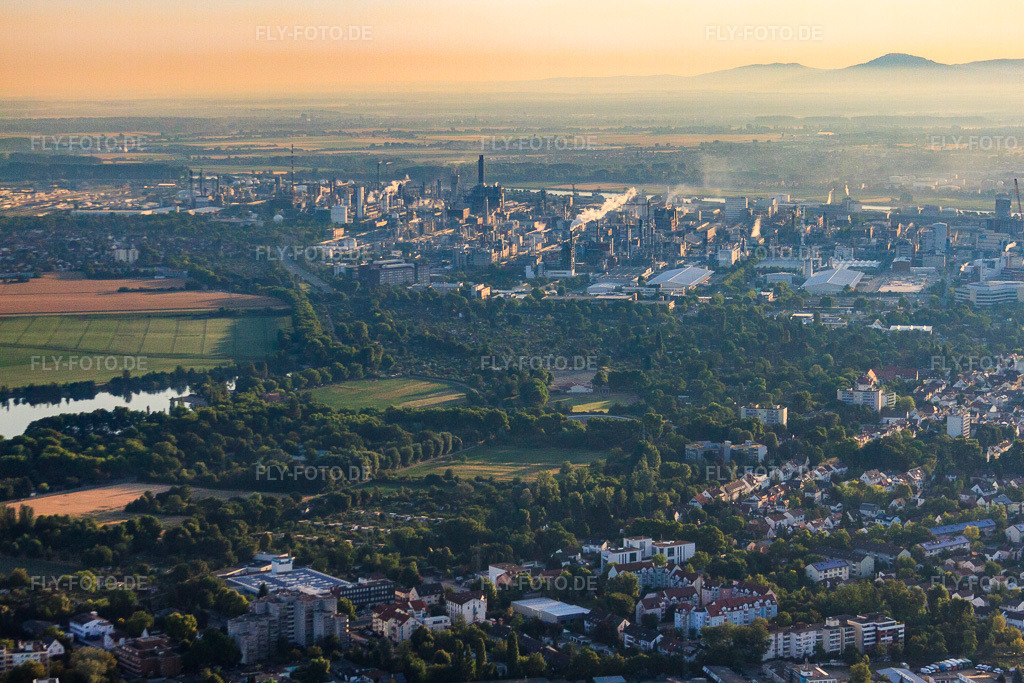 Luftbild: Chemische Anlagen im Morgenlicht aus Westen im Ortsteil BASF in Ludwigshafen im Bundesland Rheinland-Pfalz in Deutschland. Foto: IMG_69459.jpg vom 04.07.2014 durch Werner Riehm/FLY-FOTO.deAuflösung des Originals: 4752 x 3168 px