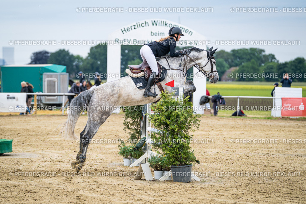 DSC05260 | Pferdegrafie