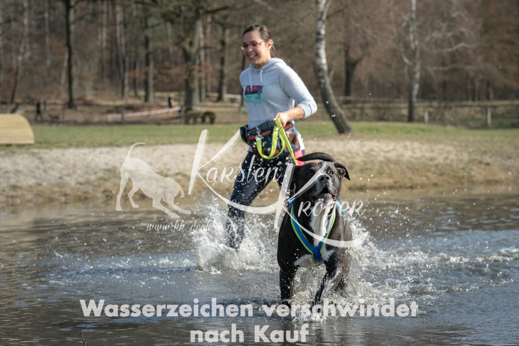 1219_ZZ98894 | kk-dogfotos