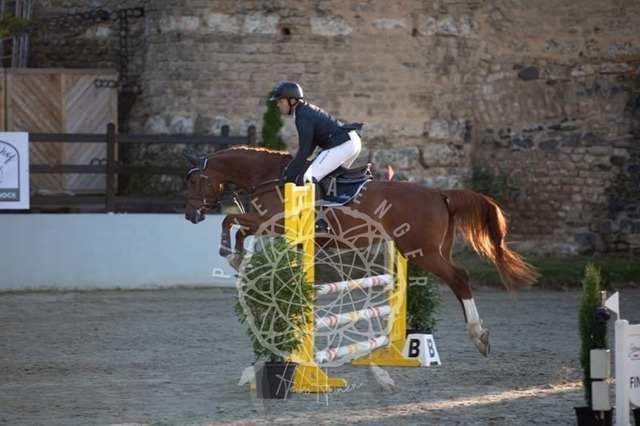 2B4A9980 | pixelfaenger - Realisiert mit Pictrs.com