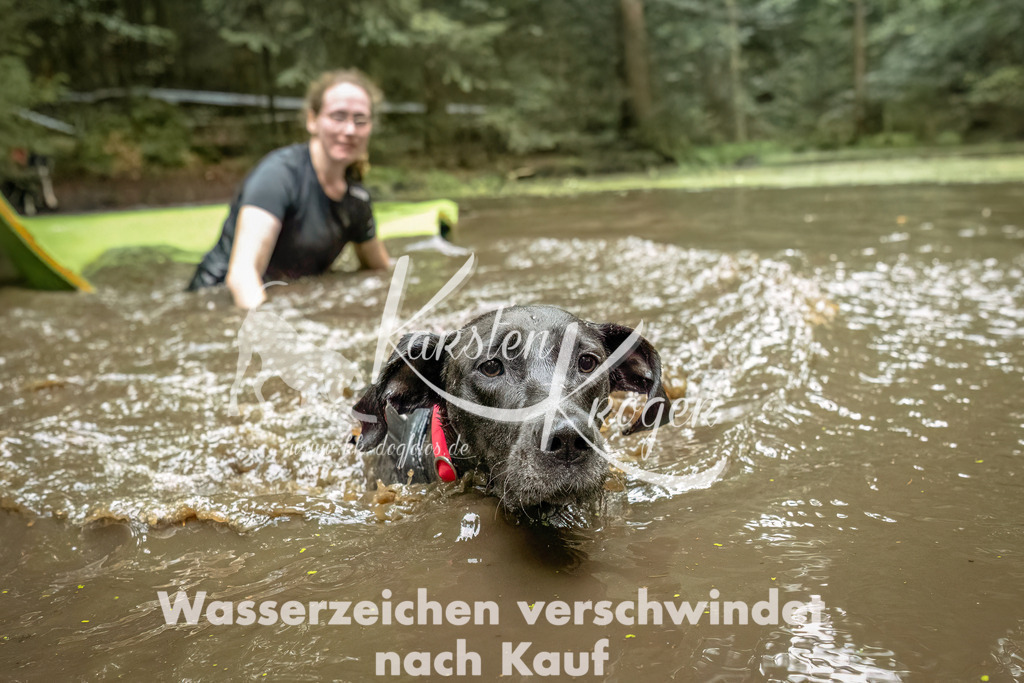 1453_ZZ94180-Bearbeitet | kk-dogfotos
