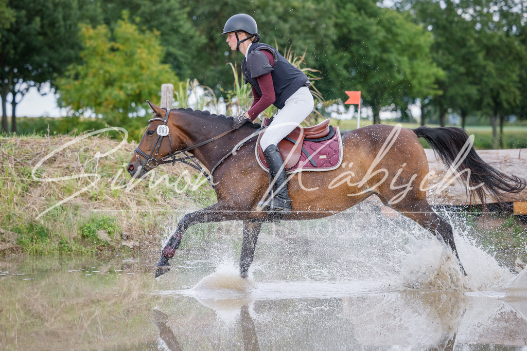 20250905-_3LI0615 | Tierfotografie Pferde, Hunde, Katzen, Haustiere.
Turnierfotografie Reitturniere, Reiten, Springreiten, Dressur in Hanau, dem Main-Kinzig-Kreis und dem Rhein-Main- Gebiet um Frankfurt