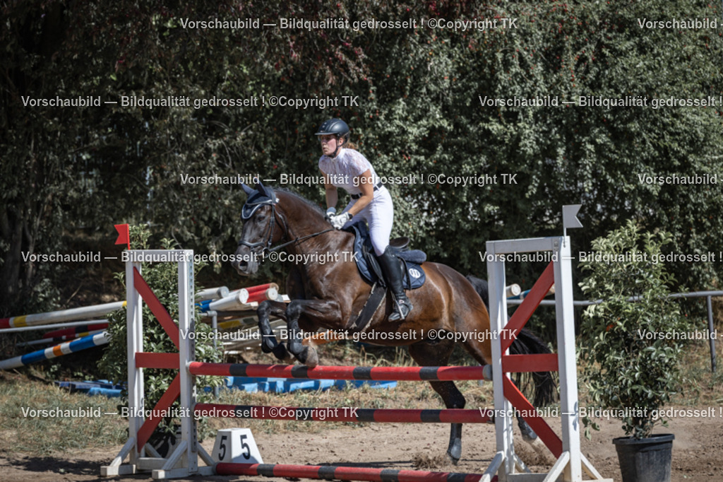 _D5A7662 | Emotionale Pferde- & People-Fotografie rund um Heidelberg, Leimen & Umgebung. Natürliche Fotos von Pferd, Mensch & Familie. Jetzt Termin sichern!