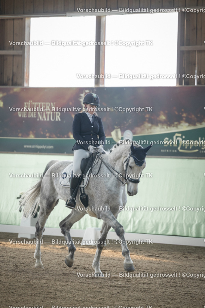 _D5A4227 | Emotionale Pferde- & People-Fotografie rund um Heidelberg, Leimen & Umgebung. Natürliche Fotos von Pferd, Mensch & Familie. Jetzt Termin sichern!