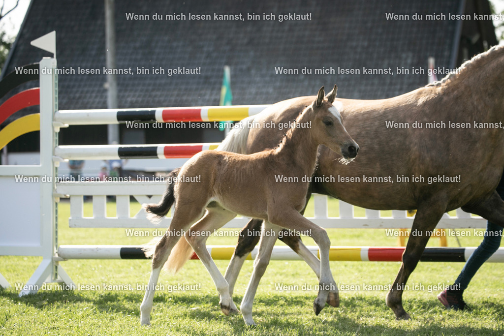 598A6970 | photographylinaismer - Realisiert mit Pictrs.com