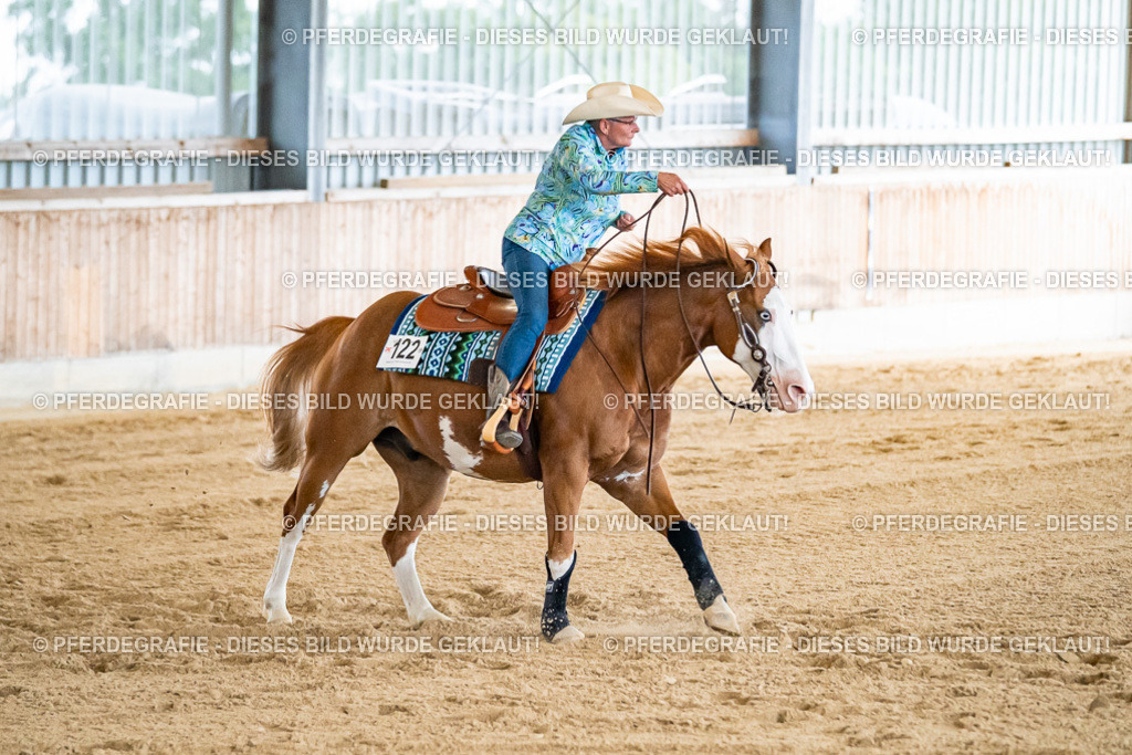 DSC06673 | Pferdegrafie