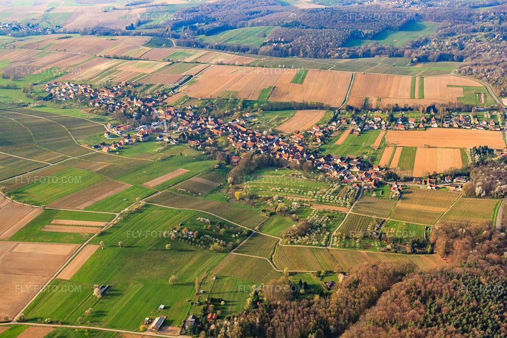 Aerial view: View of the town from the north in Cleebourg in the state Bas-Rhin, France. – Photo: IMG_63665.jpg taken on 03/30/2014 by Werner Riehm/FLY-FOTO.com – Resolution of the original: 4752 x 3168 px