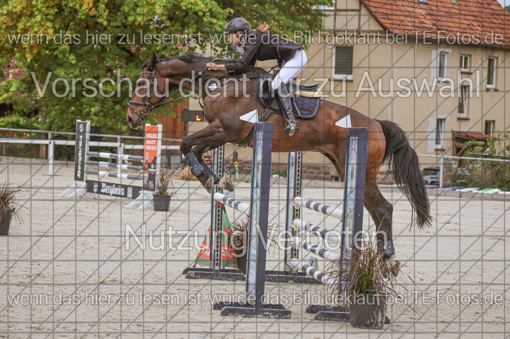 2025-09-22_09-36-52_MG_3925 | TE-Fotos