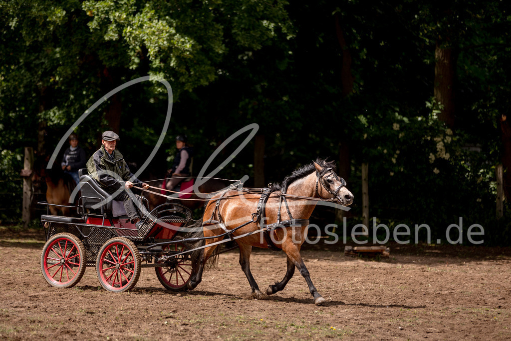 846A0804 | fotosleben - Realisiert mit Pictrs.com