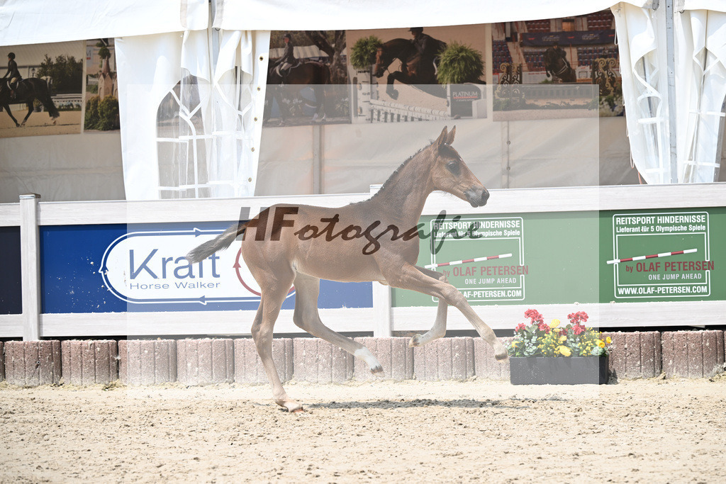 Vitalos x Lord Leopold_SF_Strohmeier_12250911 | hf-fotografie - Realisiert mit Pictrs.com