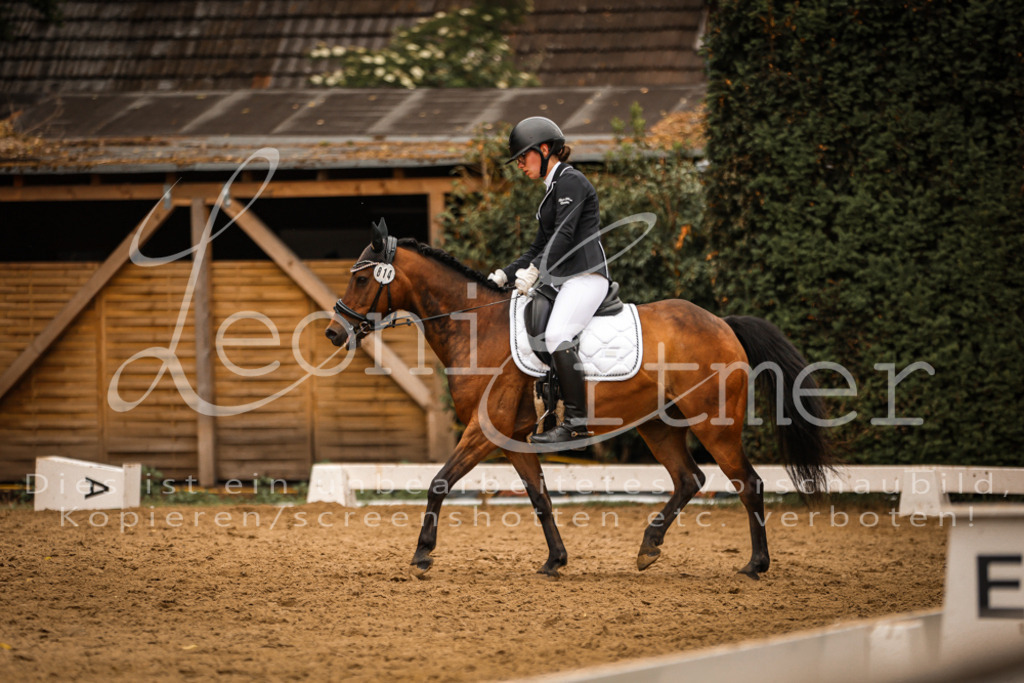 DoDrE00470 | Leoni Ertmer Photography - Realisiert mit Pictrs.com