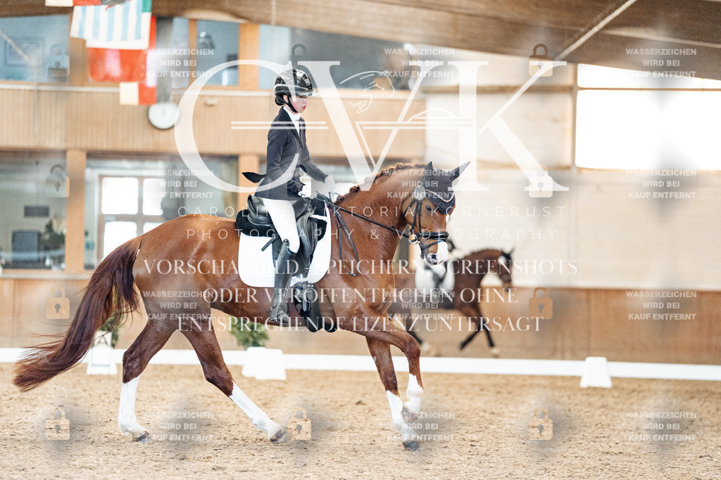 CK909079 | Turnierfotografie Pferdefotografie Trier Rheinland-Pfalz Pferdesport Reitsport Tierfotografie Sportfotografie Pferdevideo Pferdevideografie Equestrianvideography equestrianphotography  - Realisiert mit Pictrs.com