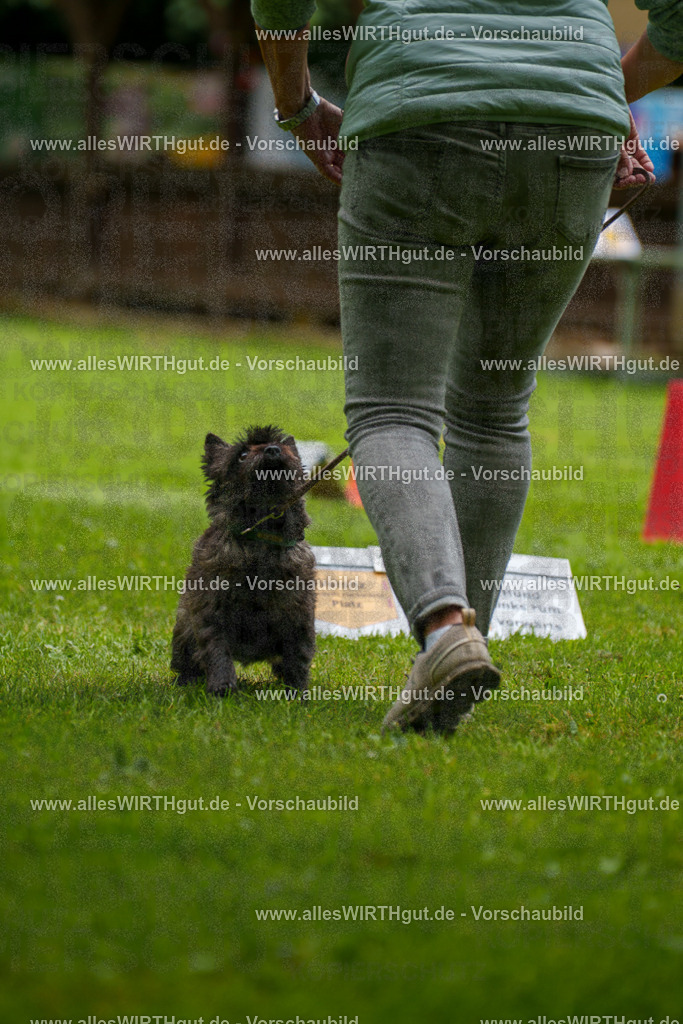 @allesWIRTHgut_Tierfotografie - www.allesWIRTHgut.de - 130256-7R509737 | Professionelle Tierfotografie in Mönchengladbach von Daniel Wirth (allesWIRTHgut). Liebevolle & natürliche Bilder von Hunden & Katzen für unvergessliche Erinnerungen.