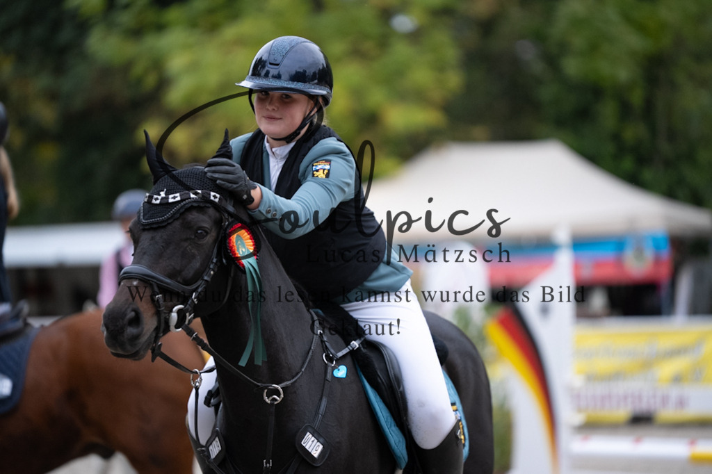 A7V08924 | Pferdefotograf