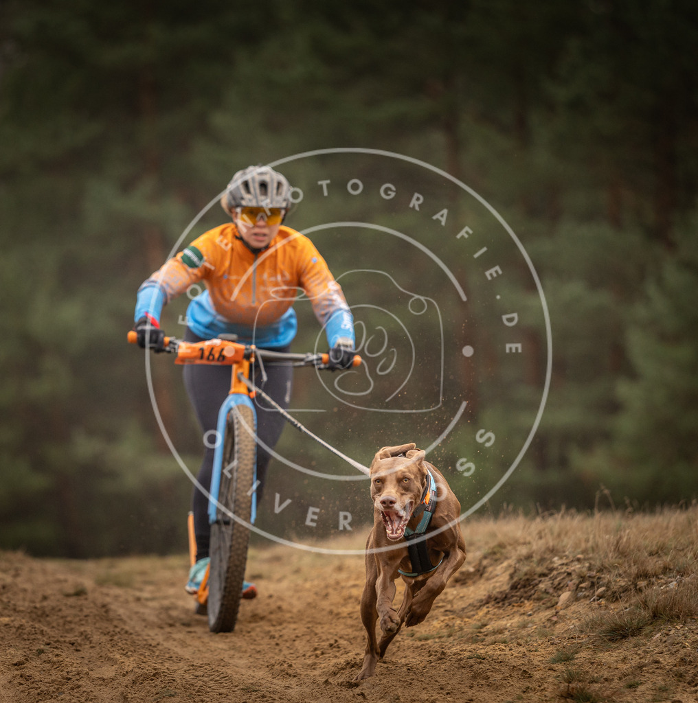 Pfotenfotografie_DV3A4409 | Hundefotografie, Tierfotograf, Pfotenfotografie, Fotoshooting Hund, Hunde Portrait, Hundesport, Hundeportraits, Heideshooting, Hunde, Sportfotograf, Hundefotograf, Turnierhundsport, THS,  - Realisiert mit Pictrs.com