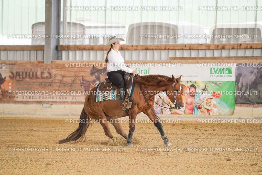 DSC00401 | Pferdegrafie