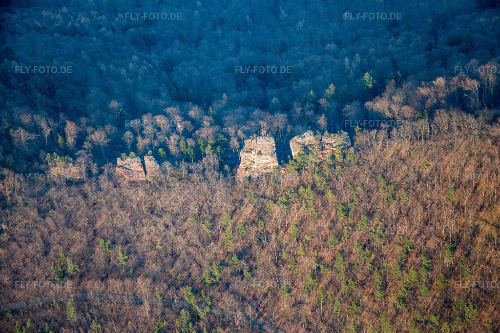 Luftbild: Burgruine Jungturm in Leinsweiler im Bundesland Rheinland-Pfalz in Deutschland. Foto: IMG_086819.jpg vom 26.03.2016 durch Werner Riehm/FLY-FOTO.de