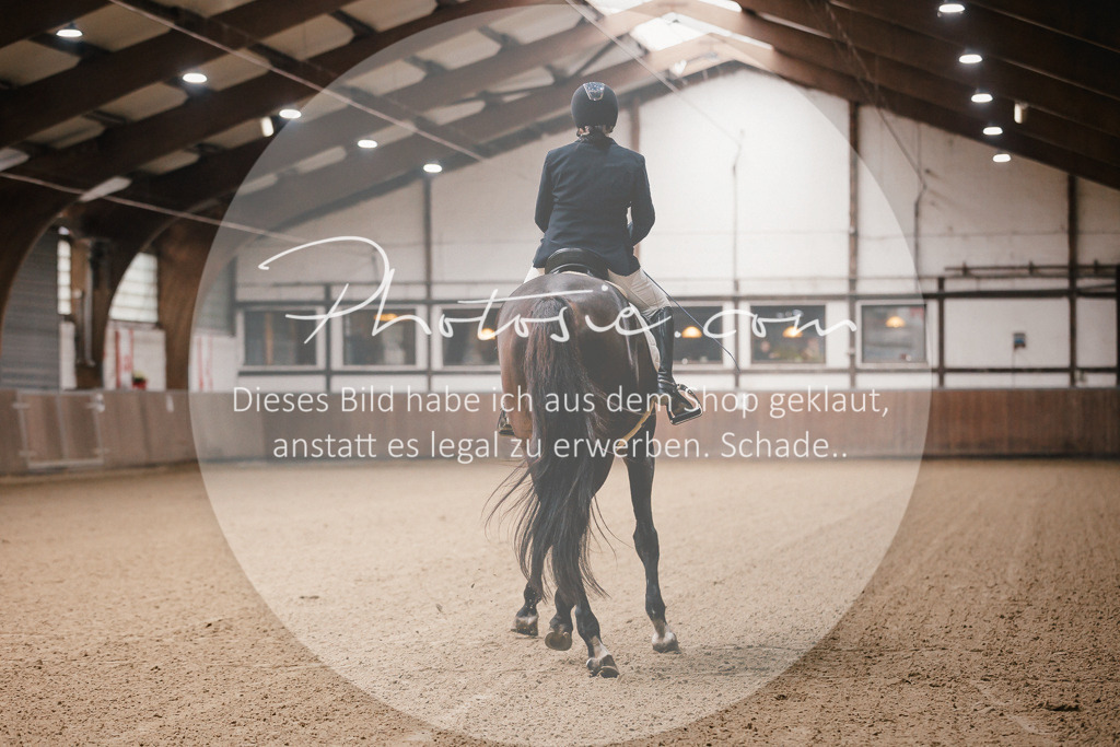 3I6A8623 | Stimmungsvolle Portraits und Reitsportfotografie im Ruhrgebiet und im Münsterland.

Pferdefotografie, Hundefotografie, Tierfotografie, Reportagen, Portraits von Tier und Mensch, Turnierfotografie in Bochum, Recklinghausen, Marl, Haltern am See, Dülmen.. - Realisiert mit Pictrs.com