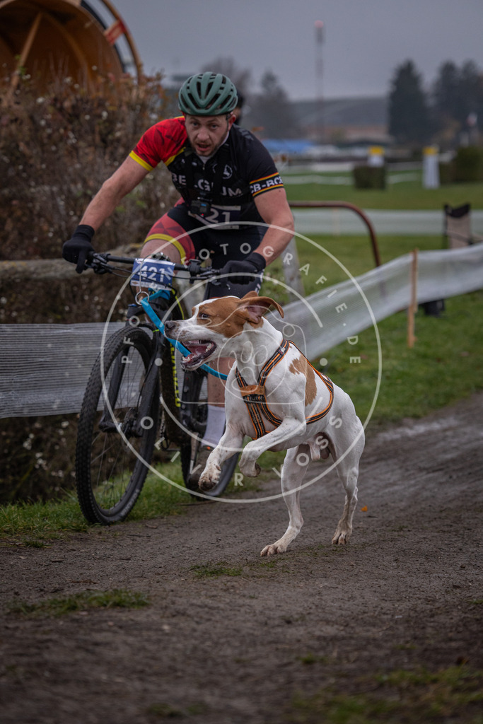 CaniXpix_0L8A1489 | Hundefotografie, Tierfotograf, Pfotenfotografie, Fotoshooting Hund, Hunde Portrait, Hundesport, Hundeportraits, Heideshooting, Hunde, Sportfotograf, Hundefotograf, Turnierhundsport, THS,  - Realisiert mit Pictrs.com
