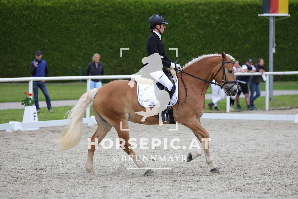 0P6A7102 | Willkommen bei Brunnmayr - Design & Fotografie – Ihrem Spezialisten für Reitturniere und Pferdeveranstaltungen in Oberösterreich, Salzburg und Bayern! Seit über 17 Jahren sind wir leidenschaftlich dabei.