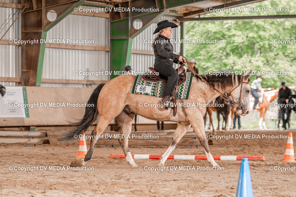 Balingen Tag 3-857 | dv-media-shop - Realisiert mit Pictrs.com