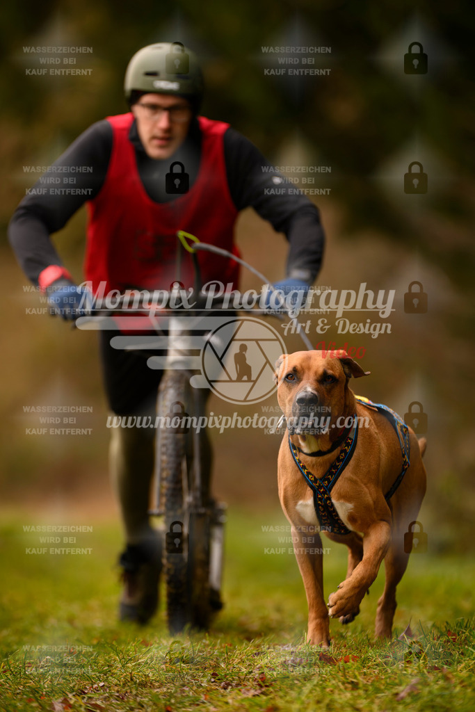 MompixPhotography_2SSTSSBW_2025_SO_Scooter-56 | PayLife