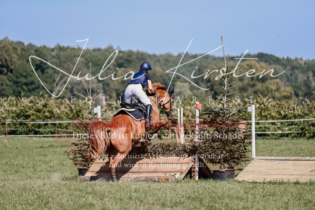 DSC_3064 | Pferde- und Turnierfotografie in Westsachsen. Pferdeportraits, Auftragszeichnungen und intuitive Kunst.