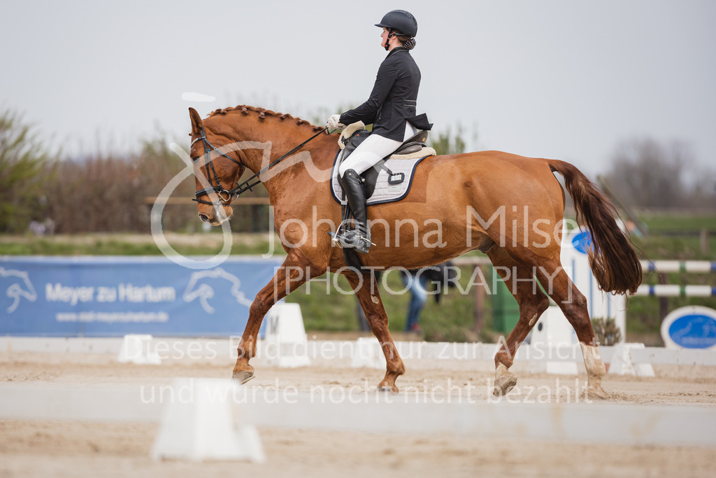 230410_Frühlingsfest_A-Dressur-405 | Deine schönsten Turniermomente als professionelle Fotos! Entdecke hochwertige Pferdesport-Fotografie im Online-Shop. Jetzt Fotos finden & bestellen!