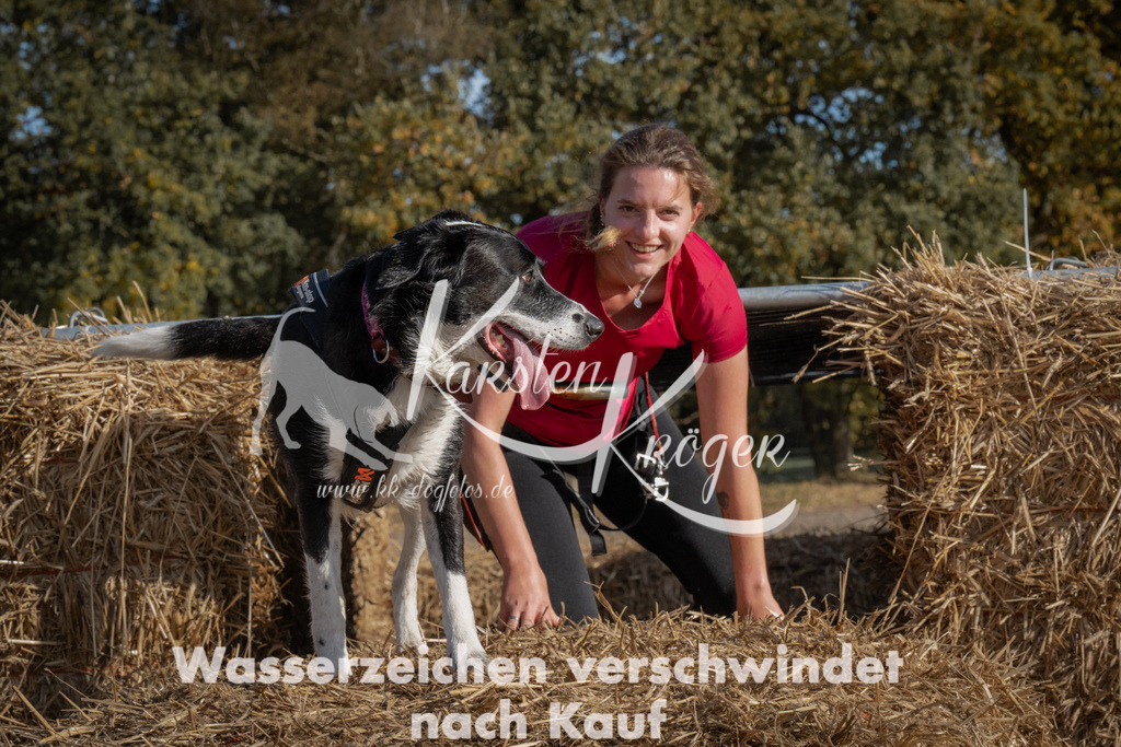 1138_ZZ92285 | kk-dogfotos