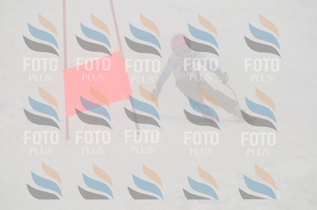 A5308 | holidayphoto