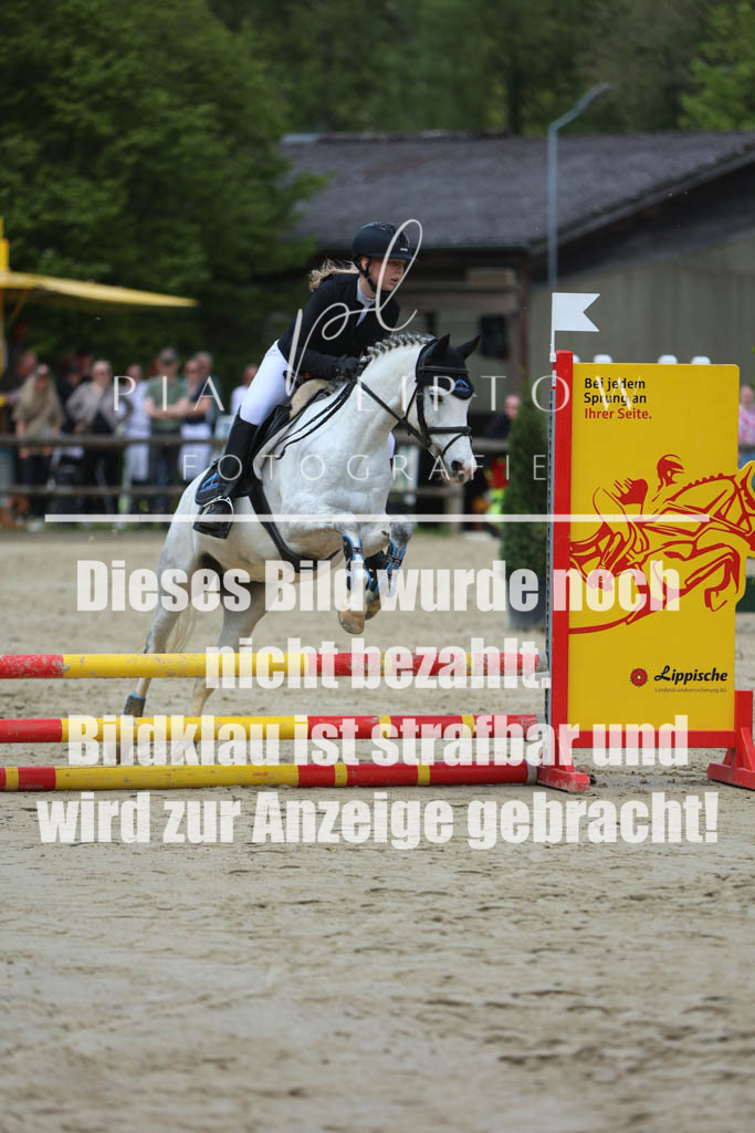 IMGM5193 | pl-fotografie