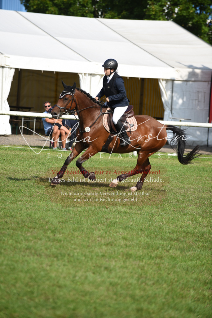DSC_8870 | Pferde- und Turnierfotografie in Westsachsen. Pferdeportraits, Auftragszeichnungen und intuitive Kunst.
