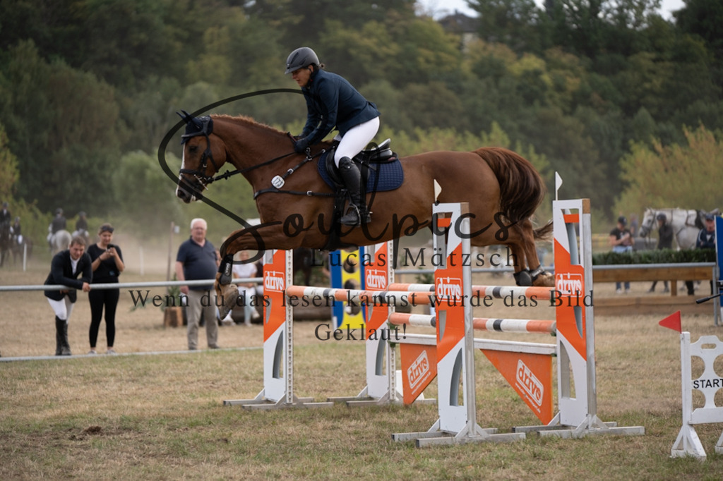 A7V09608 | Pferdefotograf